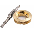 Dewax ODM Precision Casting Brass Worm Gear Partes de fundición de inversión de cera perdida